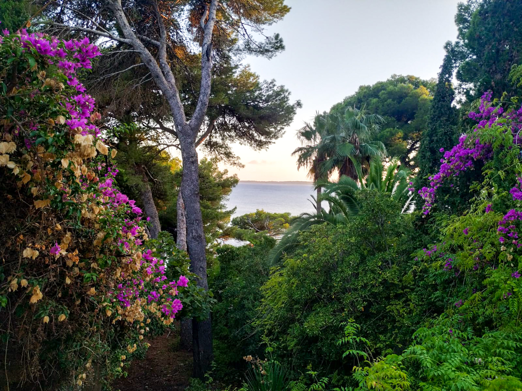 Finca Casa Tomeu Mallorca Urlaub Costa de los Pinos